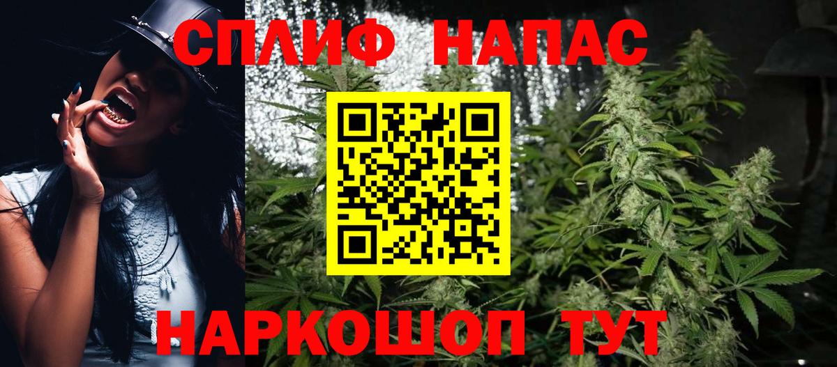 Каннабис сатива Менделеевск